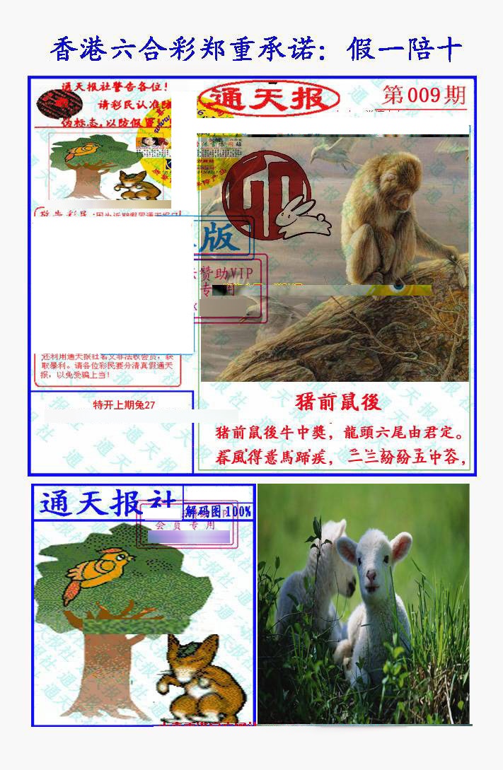009期假一陪十通天报[图]