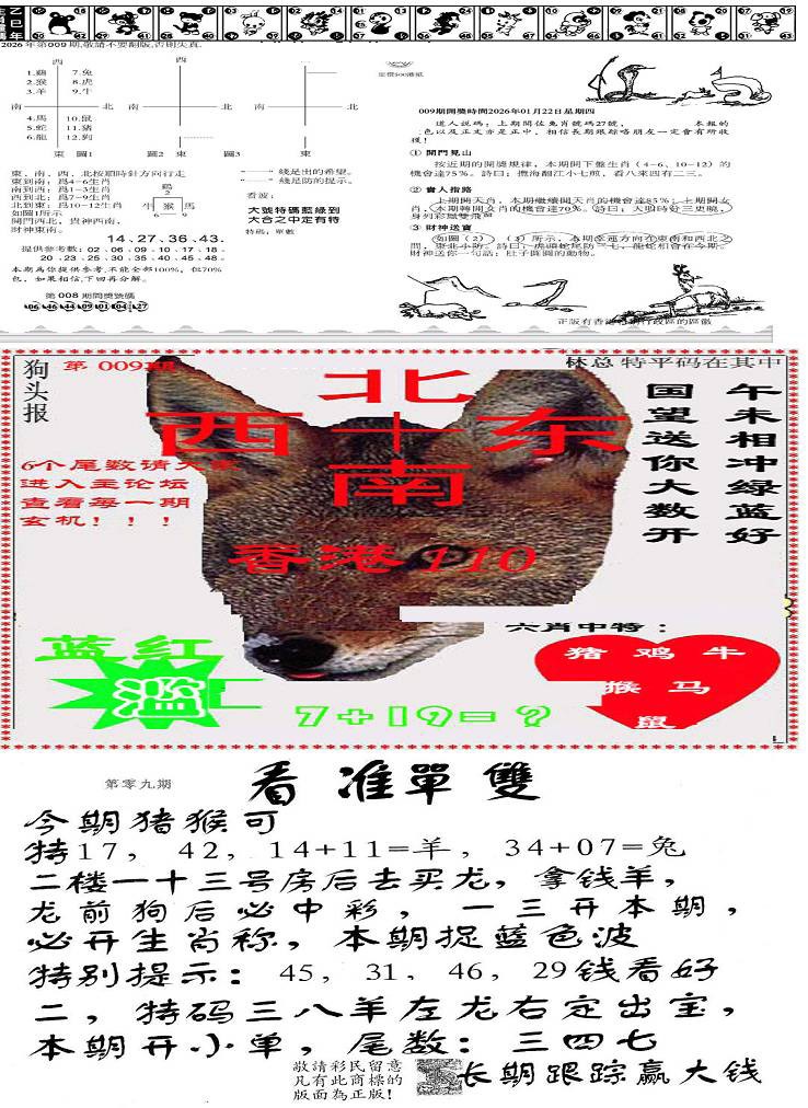 009期特码内幕B[图]