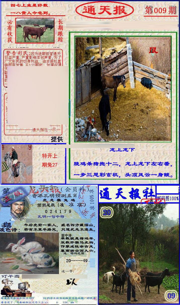 009期实力通天报[图]