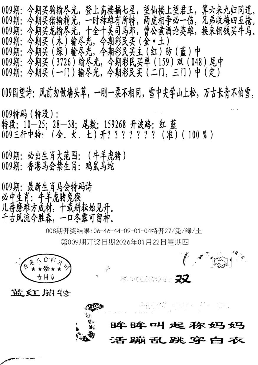 009期蛇报B[图]
