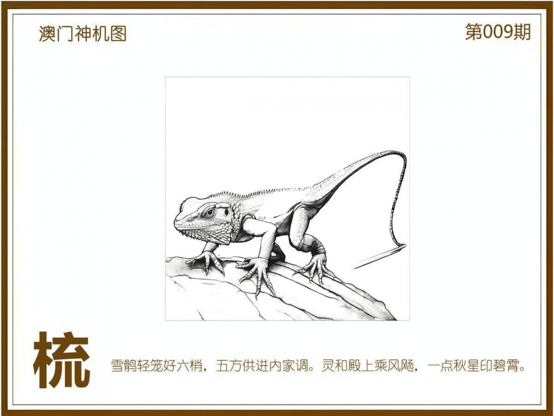 009期澳门神机图[图]