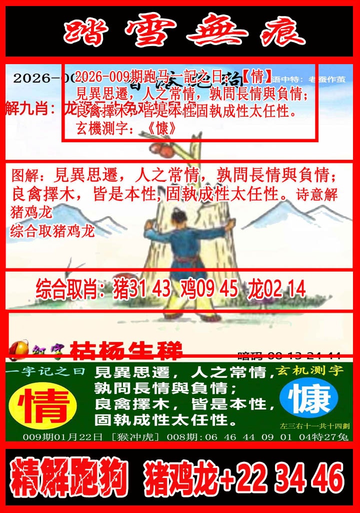 009期踏雪无痕解跑狗[图]